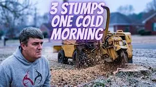 Stump Grinding three stumps on a cold day