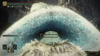 Elden Ring Sorc Ranni's Moon vs Malenia
