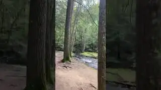 Hiking Bushkill Falls PA