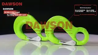 DAWSON DS1003 G100 Forged Eye Sling Hook with Latch with TUV CE Certificate