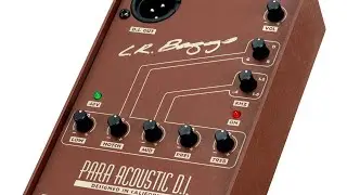 LR Baggs Para Acoustic DI Review