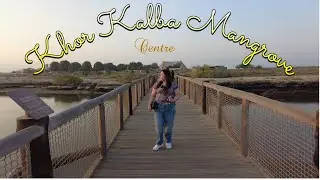we visit the Khor Kalba Mangrove Centre | Sharjah