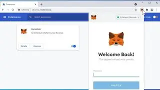 How to Set up MetaMask for Polygon and KogeCoin