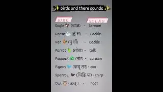 Birds & there sounds #shortsvideo #vairal #shortvideo