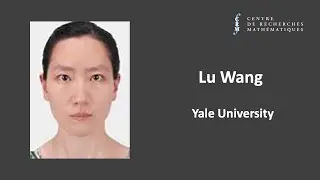 Lu Wang: An Excursion into Mean Curvature Flow