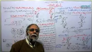 علوم ثالث متوسط الدرس الثالث عشر ارتباط العناصر