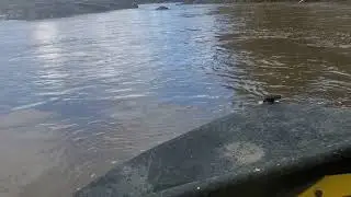 Prophet River fall 2020 ( Minicu the Jetstream Headwater mini Jet boat)