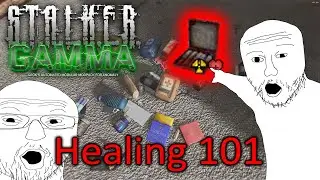 Полное руководство по лечению STALKER GAMMA