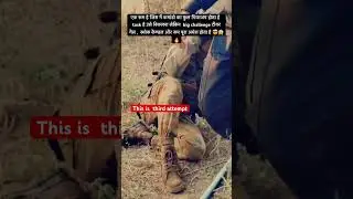 Это NSG ￼￼ ошибка &ndash; нет шансов 🔥🤯 #viralshort #army #training #viralvideo #ytshorts #nsg