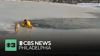 Video shows New Jersey police officer rescuing dog from icy water