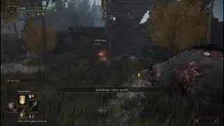 Elden Ring Madness Fail