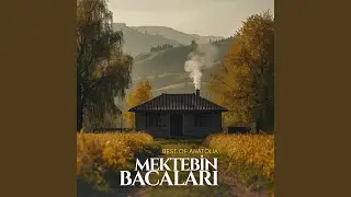 Mektebin Bacaları