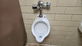 [332] American Standard Alta Urinal and Madera Toilet at TWU Sherman Building