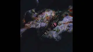 BloodLeaf - Smoke Up vol.1