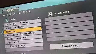 Raul santos seixas ou raulzito &eacute; o pai do rock n roll