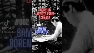 Amazing Artists From Canada - #002 Samuel Borenstein