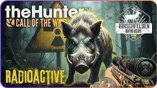 I Tried Hunting Radioactive Boars with 3 Different Methods Here's the Best One. COTW