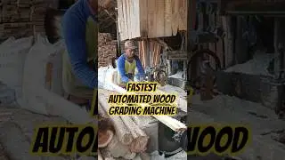 Fastest Automated Wood Grading Machine #wood #woodworking #automobile #satisfying #woodworking#2026
