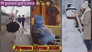 Я РЖАЛ ДО СЛЕЗ 😂 15 Минут ОТБОРНЫХ ПРИКОЛОВ 2026 Смешные видео   Лучшие ПРИКОЛЫ Sora 2 Veo 3