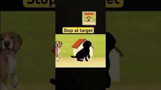#do  the target