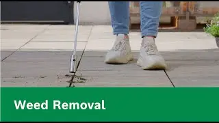 DIY knowledge: Removing Weeds