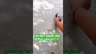 Bird Catching By hand #shorts #ytshorts