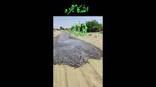 allah ka mojza #islamic #shorts #viral #islam #miraclesofallah #unfreezemyaccountplz #grow