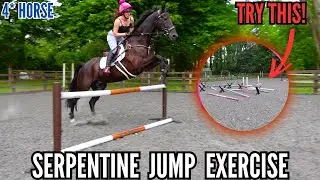 SERPENTINE JUMP EXERCISE! |  4* HORSE DOES A DRILL YOU CAN TRY AT HOME || VLOG 188