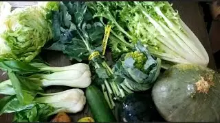 Misfits Market. What's The Mystery Vegetable?  Your 30% Off Discount Code: COOKWME-YO4JWW