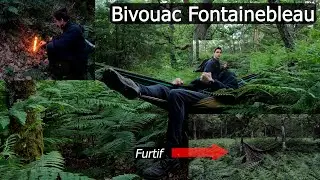 Bivouac Fontainebleau - Dans les fougères !