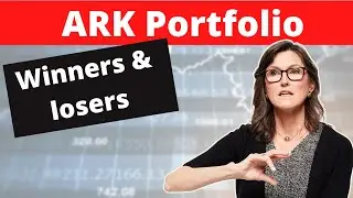 Ark Invest Etf Portfolio