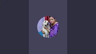 Timo labrador  is live!