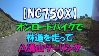 【NC750X】オンロードバイクで林道を走って八溝山ツーリング