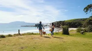 Bluestone Estate - Accommodations