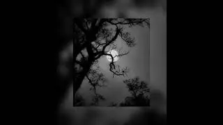 Poison tree - liza v posteli (slowed +&nbsp;reverb)