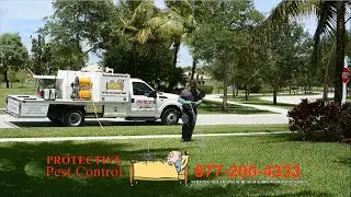 Protective Pest Control of West Palm Beach, Florida -Serving All of Palm Beach & Broward Counties