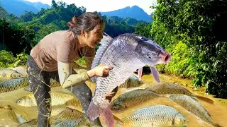Working with My Kids to Harvest Giant Fish from an Abandoned Pond for Market Sale