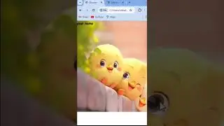 Background blur in CSS || CSS backdrop filter || background 
