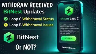 BitNest Loop C Withdrawal Received or Not? | Loop B Withdrawal Issue Update