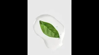 Green Tea Seed Serum