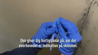 S&aring;dan tester du selv for skimmelsvamp