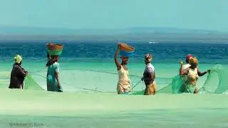 What We Can Do to Curb Social and Human Rights Abuses in the Seafood Industry
