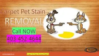 Carpet Cleaning Calgary (TruckMounted) High Heat Quick Dry Oxy-genie