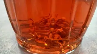Rreze Dielli - Pije me bishta qershie kund&euml;r celulitit nga zonja Albana