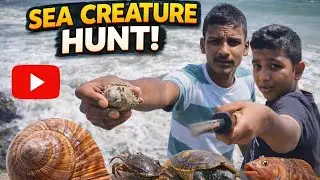 Sea Creature Hunting | Dangerous Ocean Animals Caught 😱