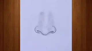 How to Draw a Nose Easily