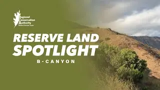 RCA Reserve Land Spotlight: B-Canyon