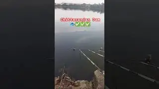Chittaranjan#Bigkatla#Bigfish#Hookfishing#angler#bangali#viral#katlabait#bigruhu#Fishing