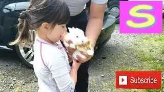 У Сонечки Новый Питомец. Папа Привез КРОЛИКА!!!!
