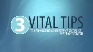 Tree Service Minneapolis